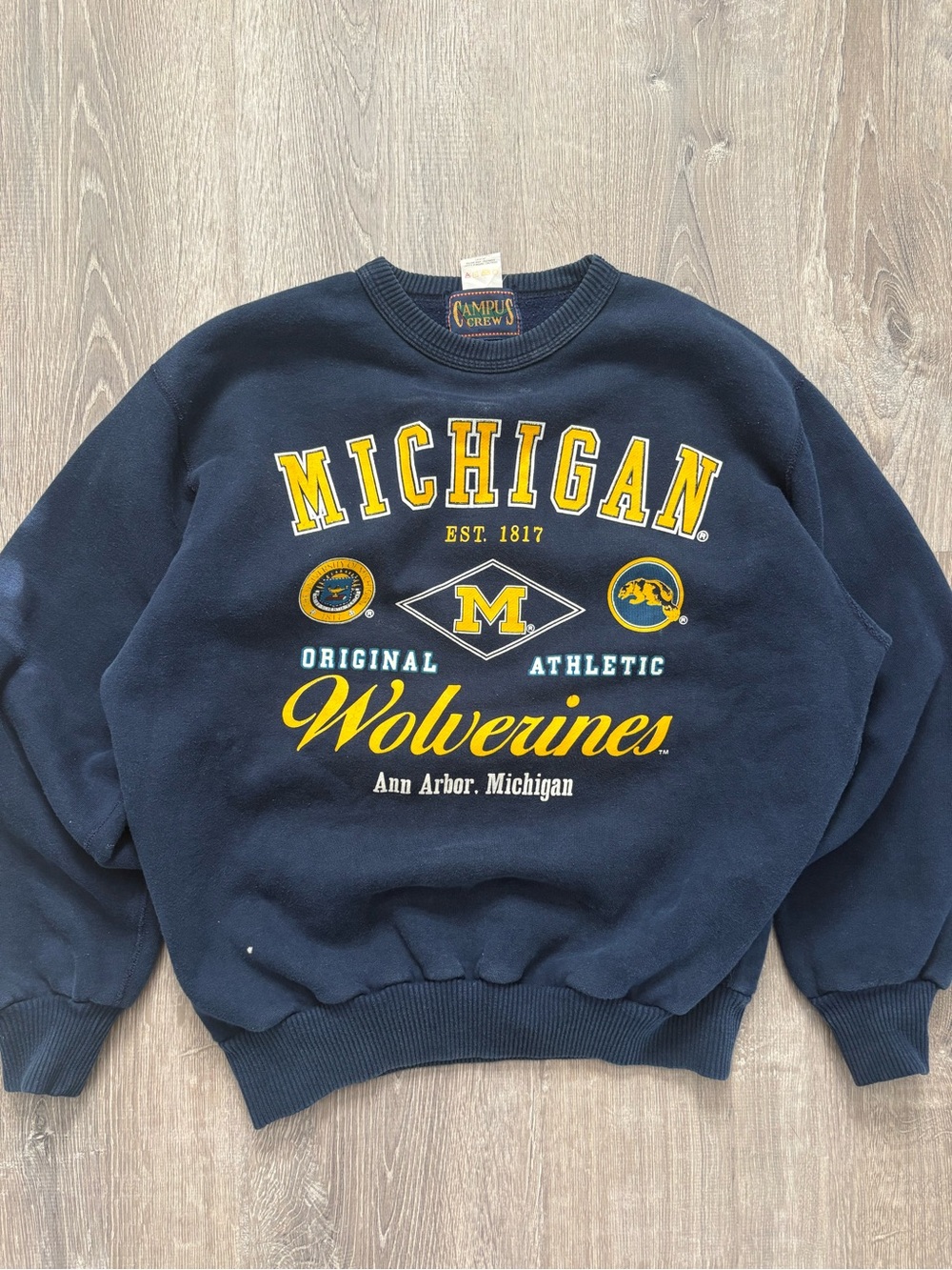 Vintage University of Michigan Campus Crew Sweater